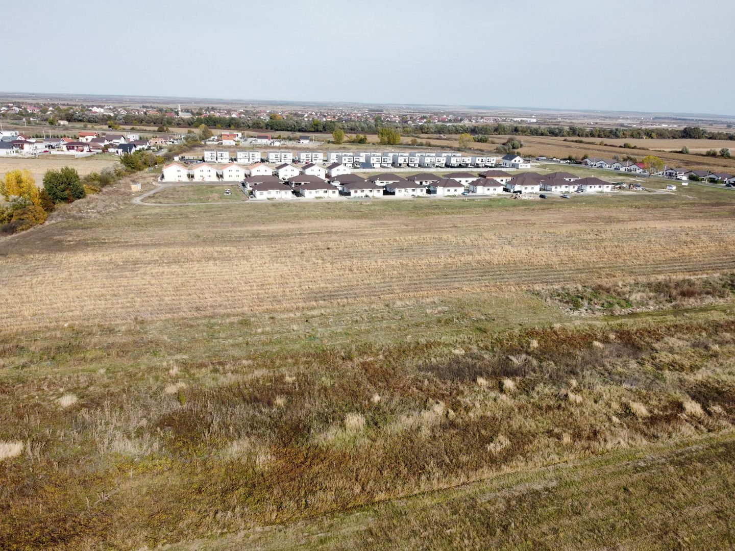 Teren PUZ rezidential-Bucovat (Remetea Mare) - Poză 2