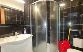 Garsoniere si apartamente de inchiriat-inclusiv perioade scurte! - Poză 15