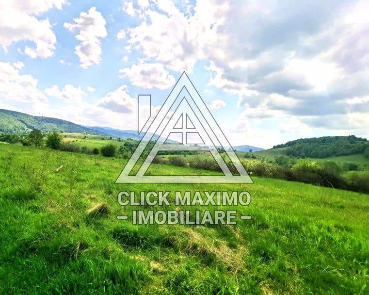 25.000 mp TEREN Ciucea – Calea Lata, jud. Cluj - Poză 4