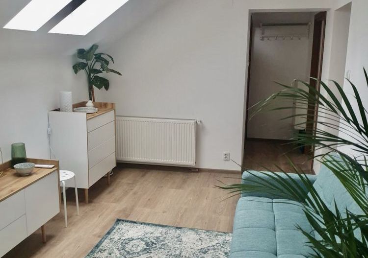 Apartament 2 camere - zona Stefan cel Mare - Poză 3