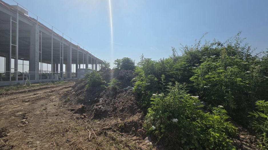 Teren pentru Dezvoltare Logistică – 18.000 mp | Tunari - Comopolis - Poză 2