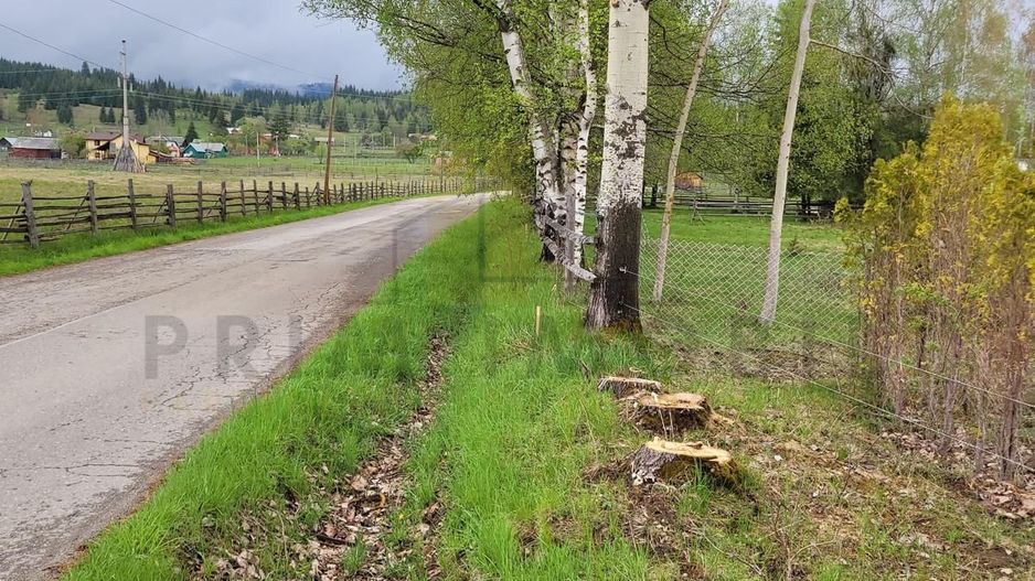 Teren Saru Dornei / Neagra Sarului - oportunitate investitie - Poză 1