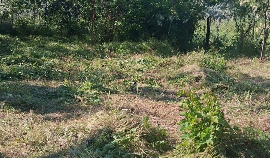 Casă cu teren de 1.470 mp de vânzare – Fântânele, Scânteiești - Poză 7