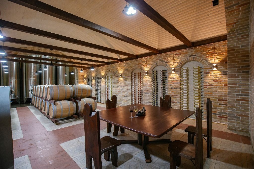 Complex Vitivinicol de Referință în Sudul Moldovei | 206 ha teren agricol | Investiție strategică - Poză 3