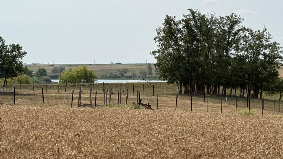 Teren intravilan Miersig, vedere la lac. 12,5 E/mp neg. Comision 0 - Poză 4