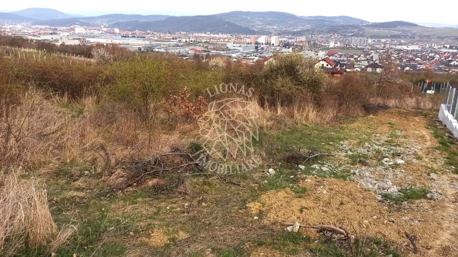 4 Parcele diferite intre 704 mp si 803 mp-ideal investitie-La Soare - Poză 1