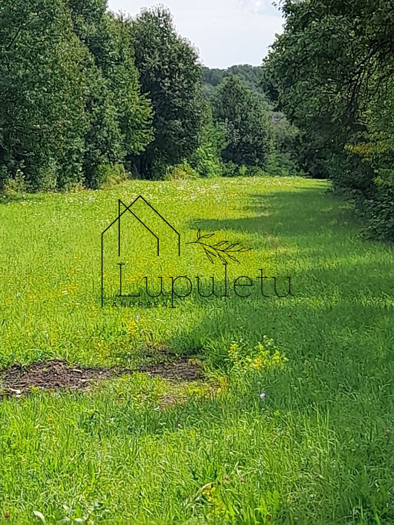 Teren Intravilan | 1500 MPU | Tocile, Comuna Sadu - Poză 8