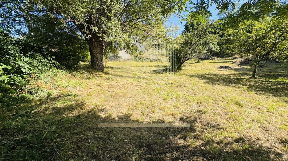 TEREN INTRAVILAN 3234 MP LEREȘTI VOINEȘTI ARGEȘ - Poză 10