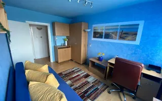 Apartament 3 camere  zona Iosefin - Poză 11