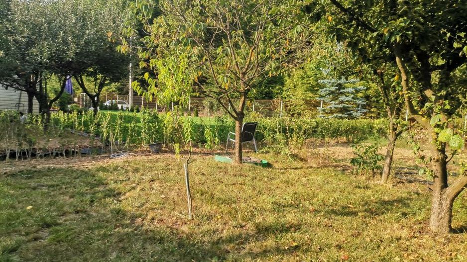 Vanzare teren intravilan Pitesti, strada Zamfiresti - Poză 1