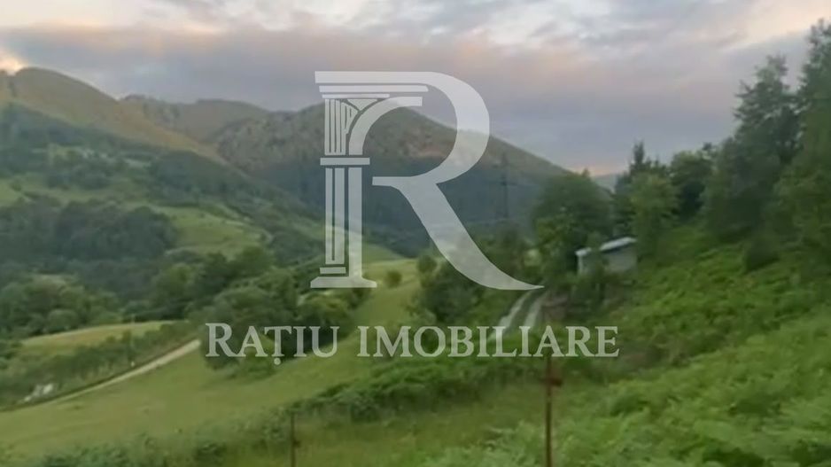 Teren 10.900mp | Panoramă în Apuseni | Remeți -Ideal pentru Investitii - Poză 7