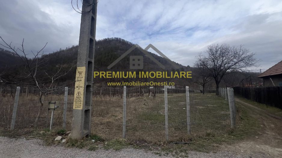 Teren 2540 mp intravilan Oituz - Poză 3