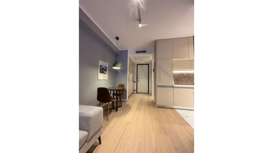 REA1027516 Apartament 2 Camere Prima Inchiriere One Floreasca Towers - Poză 4
