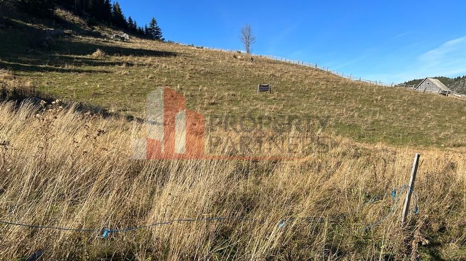 Teren Fundatica intravilan 4500 mp - Poză 12