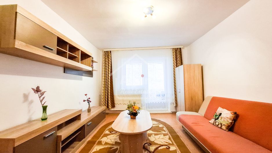 Suprafata Generoasa I Zona Gemenii - Poză 1