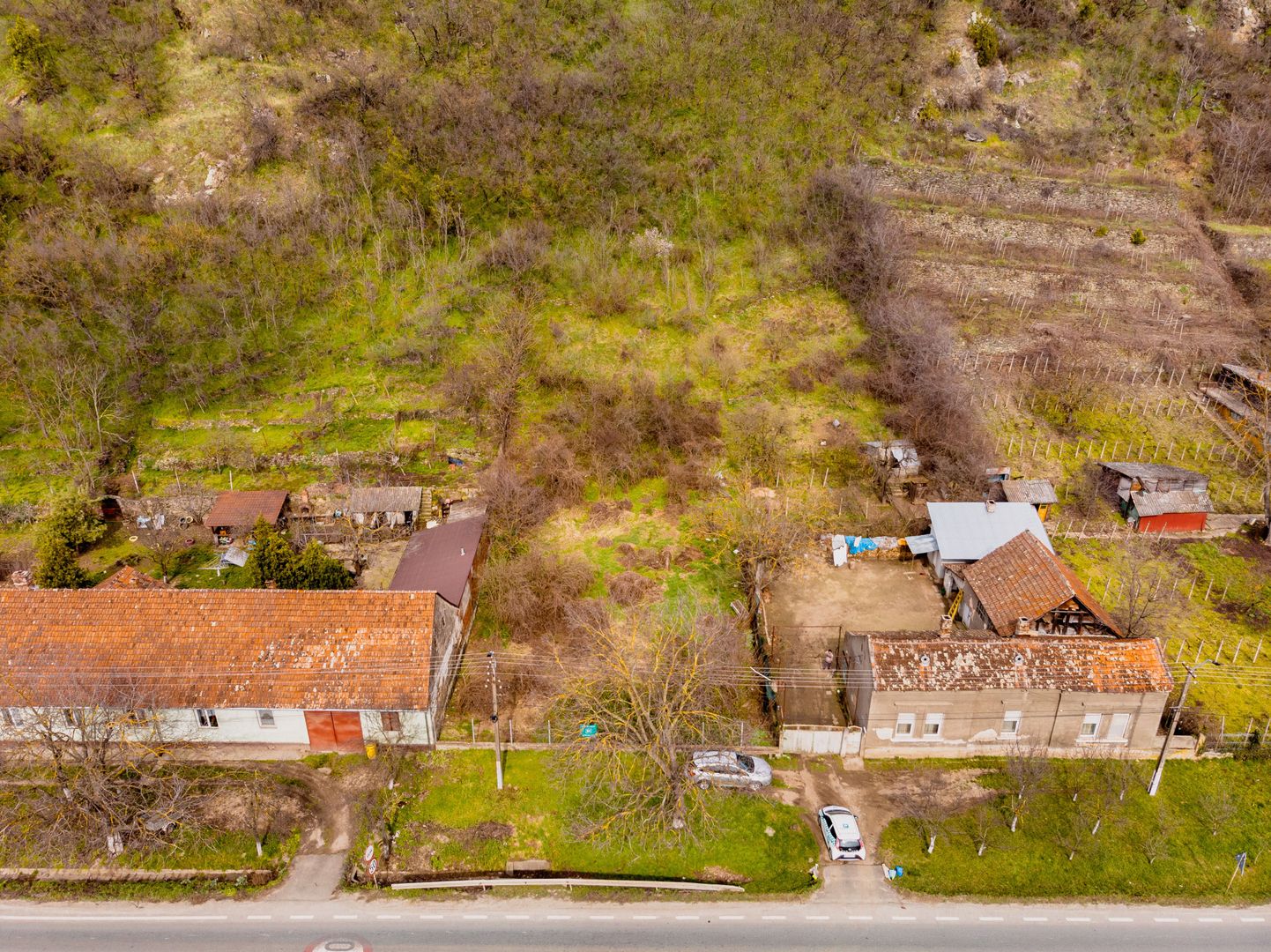 Teren Intravilan Pauliș - Poză 2