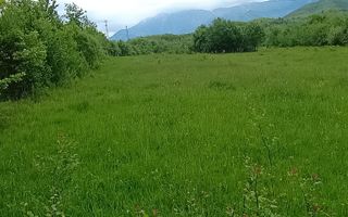 Teren 2000 mp | Sebeșu de Jos | Deschidere 25 ml | Utilități in proximitate - Poză 3