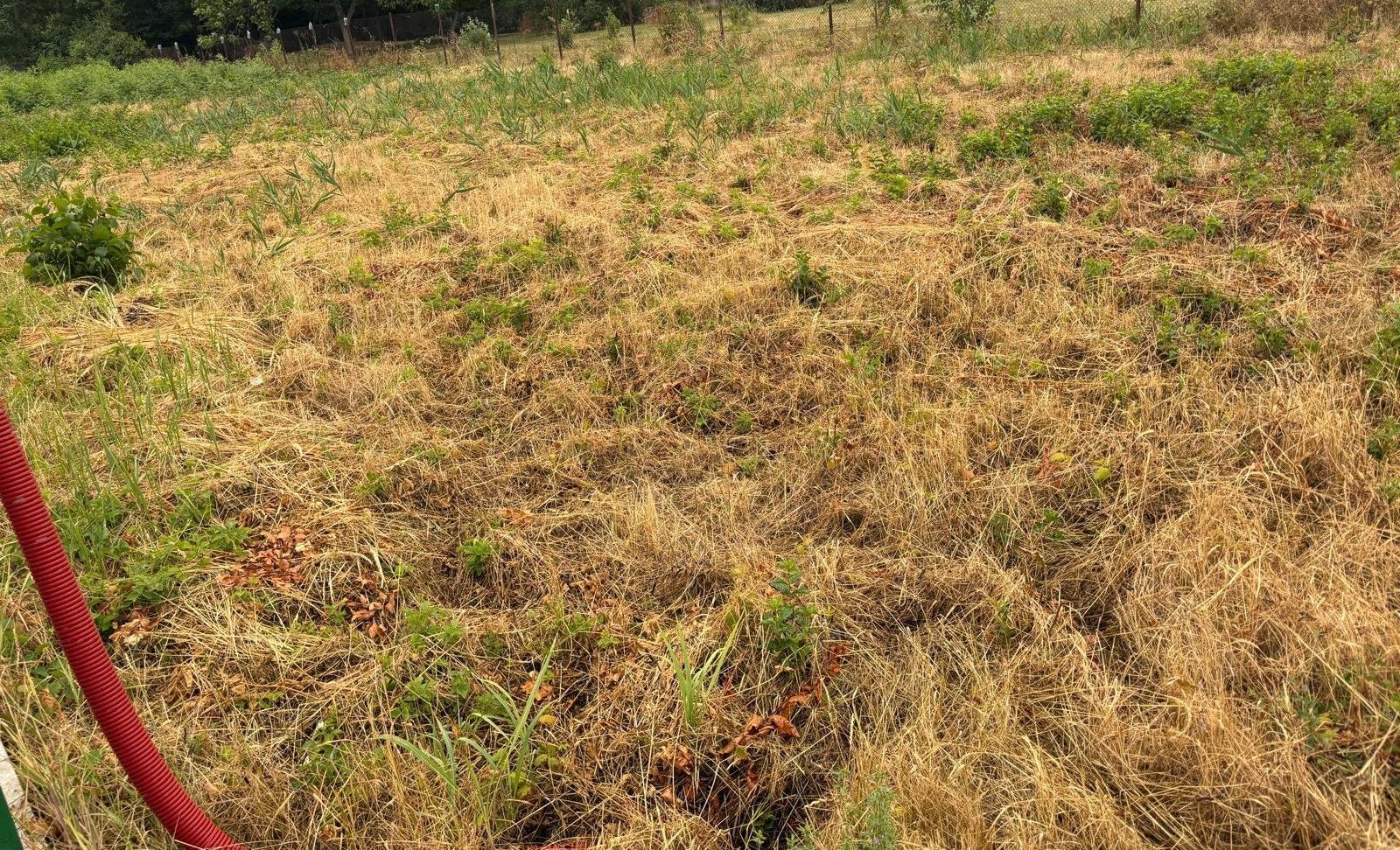 Teren 175 mp in Fratelia - Poză 3