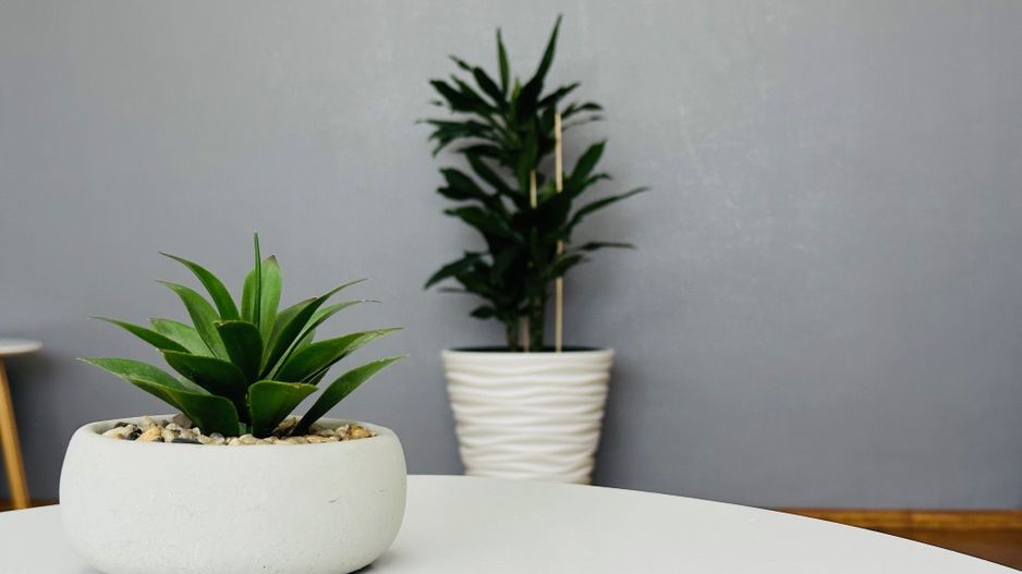 Kiko isi vinde primul camin | 3 camere | P-ta Iuliu Maniu - Poză 10