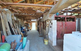 Vanzare teren intravilan, Prundu - Poză 6