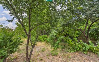 Teren 1.484 mp în zona Iosefin - Poză 2