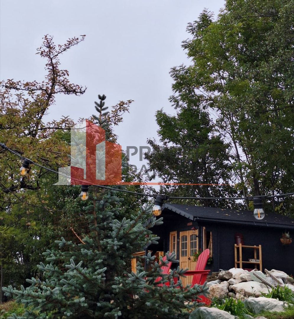 2  A-Frame | Bran Sohodol| 2 cabane | Teren 3.812 mp | Operațional | - Poză 4