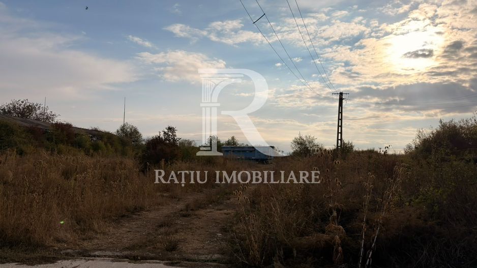 Fermă Sărand | Bihor | 25.659 mp teren intravilan - Poză 27