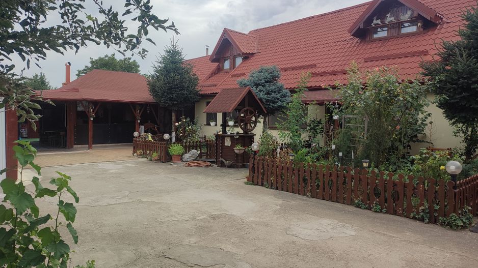 Sanadrei, Casa individuala, Suprafata teren generos, Garaj, terase si anexe - Poză 1