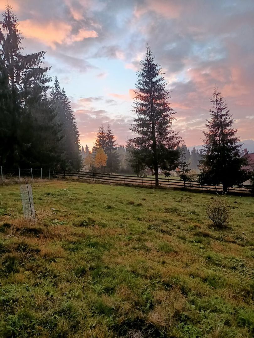 De vanzare teren cu cabana in Smida - Poză 1