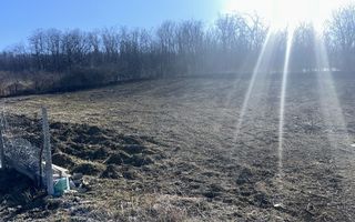 Teren intravilan, sat Vladiceni 1135 mp - Poză 8