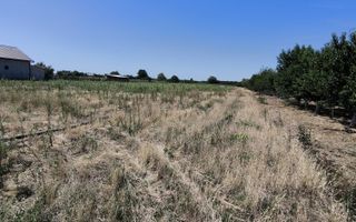 Teren intravilan Biharia 11058 mp - Poză 2