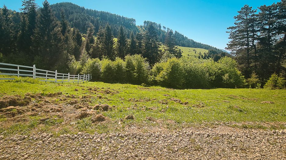 str. Morii, zona superba, teren pentru casa - Poză 5