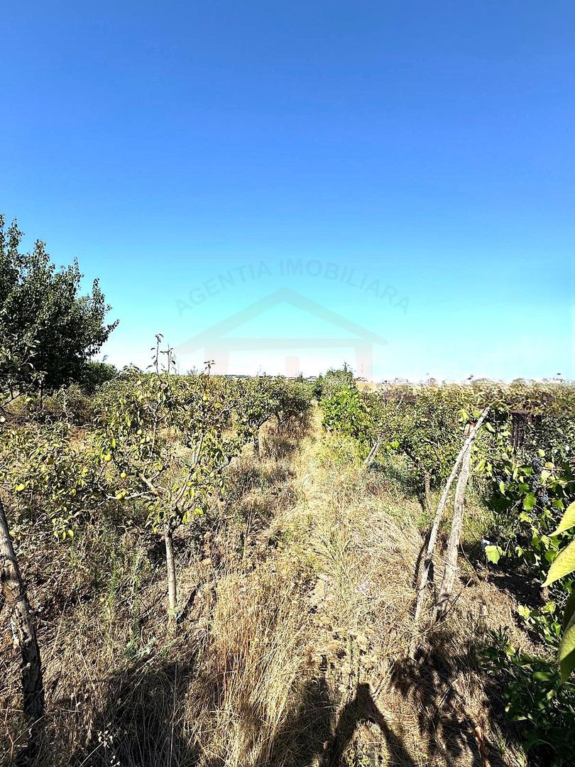 Cabana din lemn+ teren 2000 mp , 105.000 Euro negociabil, zona Metro - Poză 10