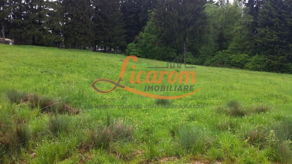 Teren intravilan Cotul Donului,pretabil Hotel/pensiune. - Poză 17