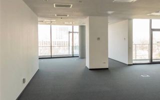 Boutique Offices - Damaroaia - Poză 5