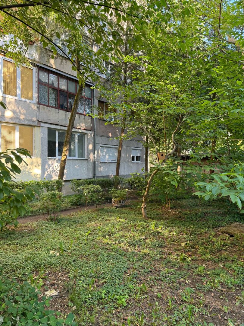 Vand apartament Careiului - Poză 6