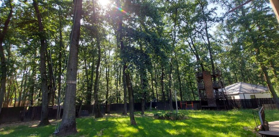 Vanzare - Vila individuala | 5 camere | Piscina | Padure | Corbeanca - Poză 10