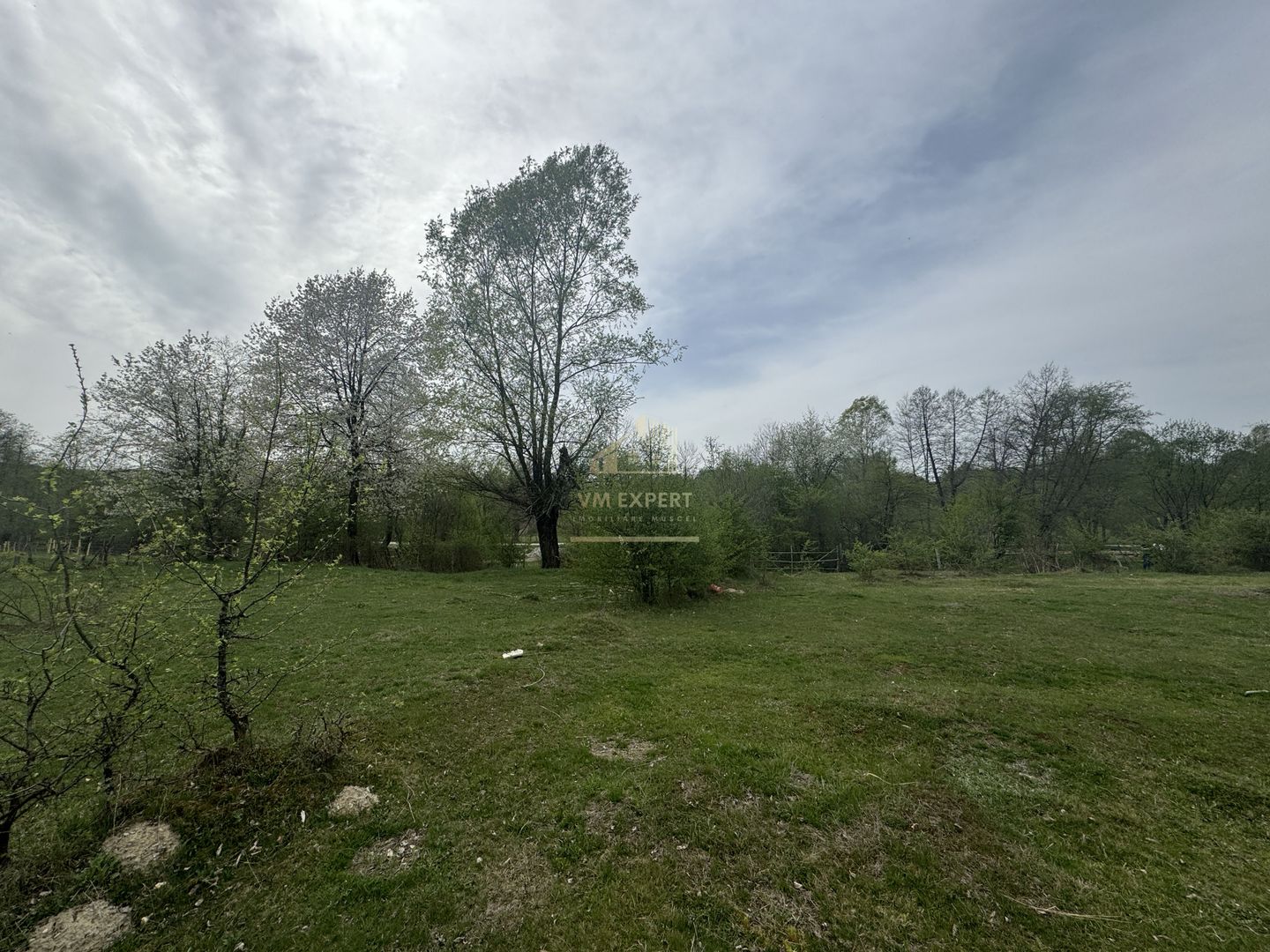 TEREN EXTRAVILAN 40000 MP, ALBESTI DE MUSCEL, CANDESTI - Poză 6