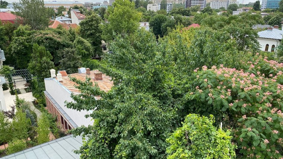 Apartament 3 camere + 1 birou,  Cotroceni, curte si gradina, metrou Eroilor - Poză 24