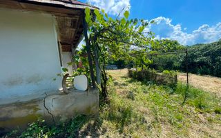 Casă bătrânească cu teren de 3.200 mp în Hertioana de Jos, jud.Bacău - Poză 8