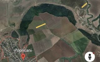 Teren Agricol de Vanzare, 1,95 ha, Popricani - Poză 4