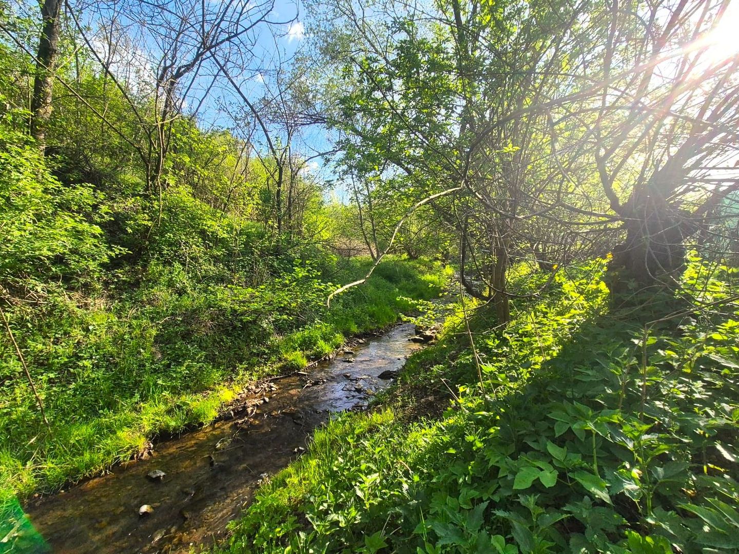 CASĂ NOUĂ ÎN STOLNA, LA 20 KM DE CLUJ-NAPOCA | 160 MP UTILI | 1.513 MP TEREN - Poză 11