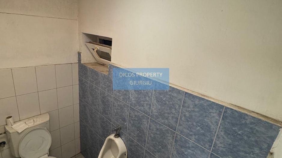 Proprietate industrială de vânzare sau închiriere – Comuna Frătești - Poză 7