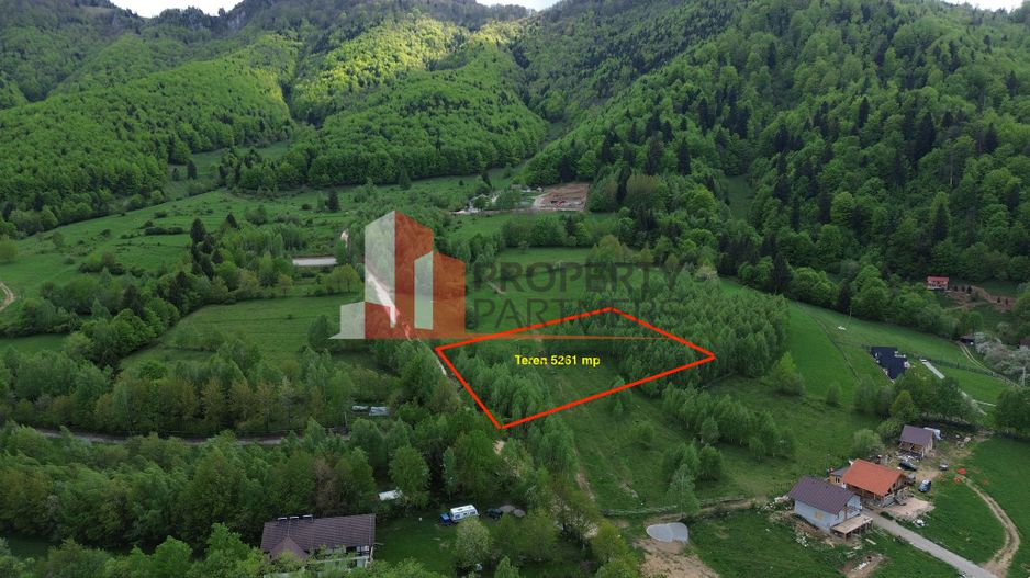 Teren intravilan 5.261 mp Tohănița | Deschidere 49 m | Utilități, lângă pădure - Poză 1