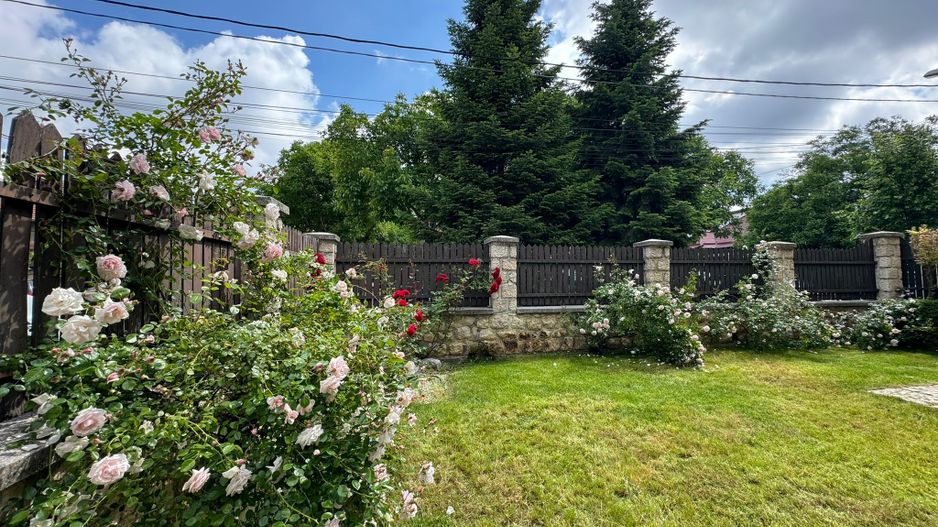 Circumvalatiunii | Casa individuala | 6 camere | Garaj - Poză 3