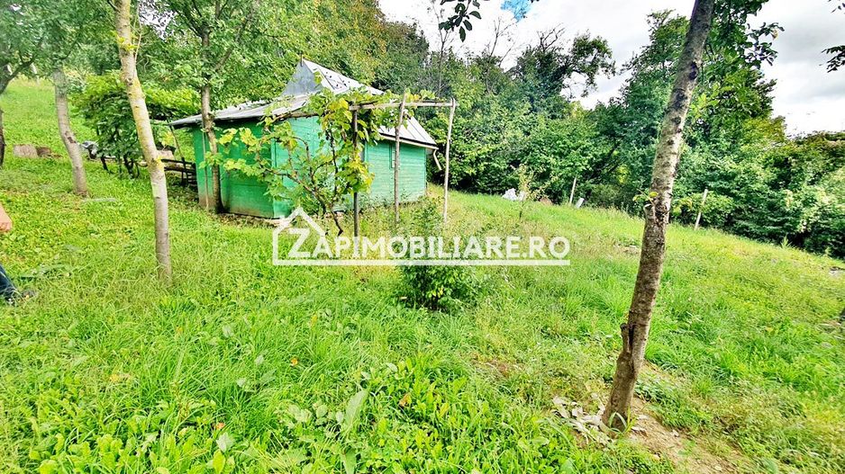 Teren 3.412 mp,zona Belvedere 45 euro mp - Poză 4