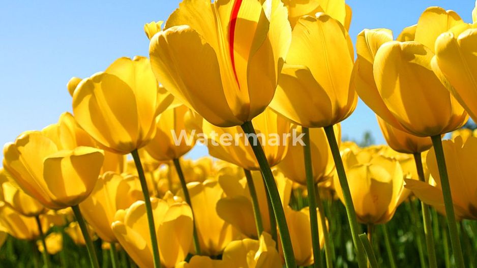 Apartament cu 3 camere în zona Dristor - Poză 15