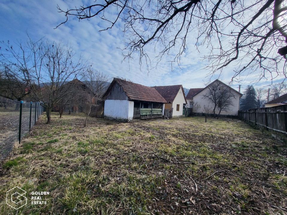 Casa cu doua corpuri de cladire si anexe, teren 1350 mp, Savarsin - Poză 13