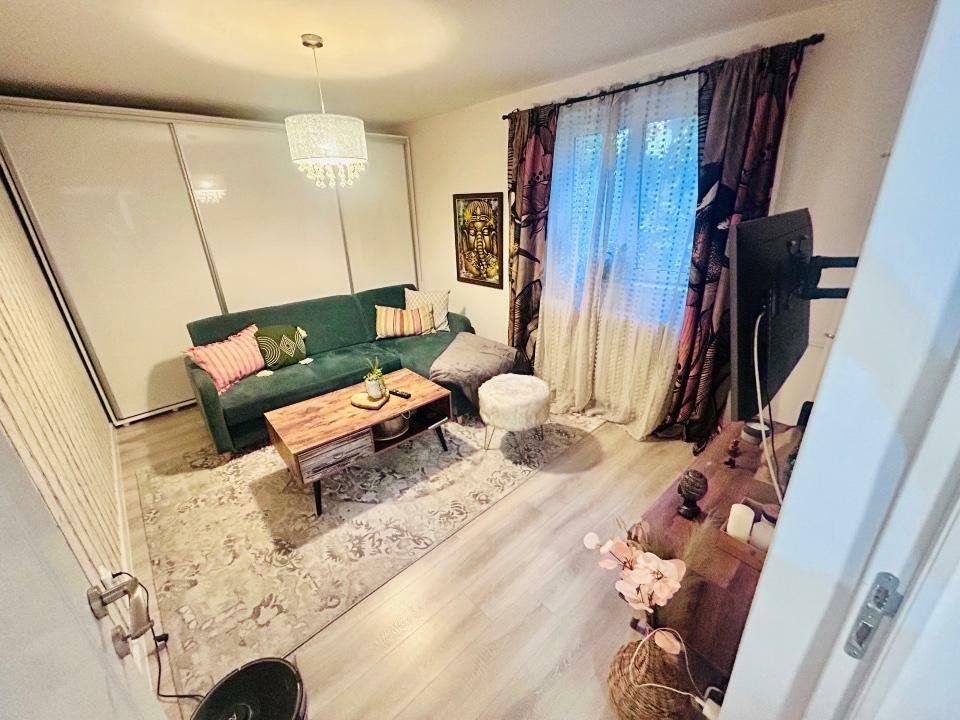 APARTAMENT LUX | TEIUL DOAMNEI - Poză 2