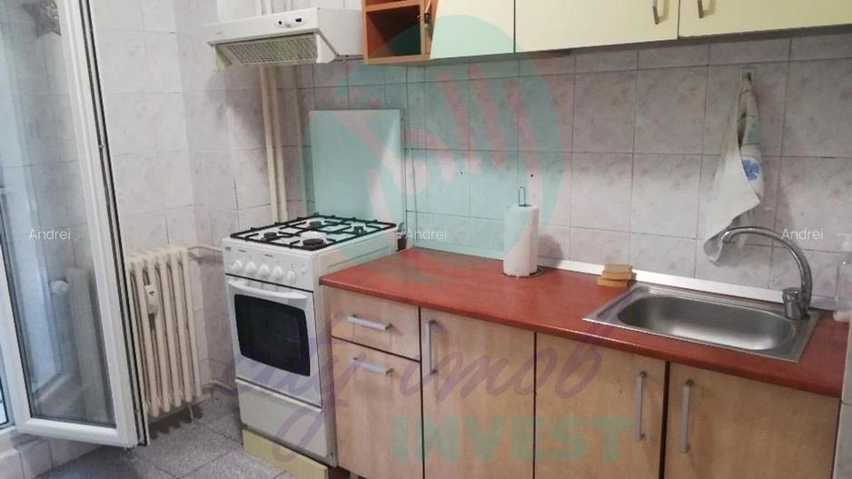 Ideal investitie - la 2 pasi de Bd Decebal si 7 minute de metrou MUNCII - Poză 5